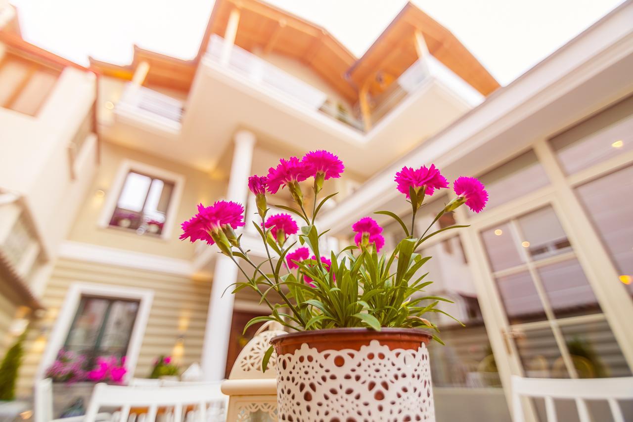 Villa Ester كورتشي المظهر الخارجي الصورة